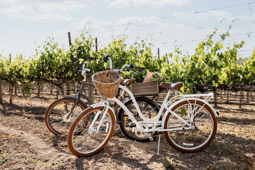 Four Seasons Resort Napa Valley Calistoga Luaran gambar